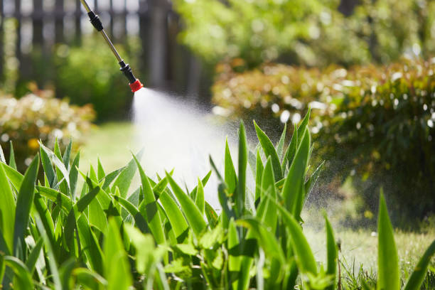 24/7 Emergency Wasp Removal experts in Hanna City, IL