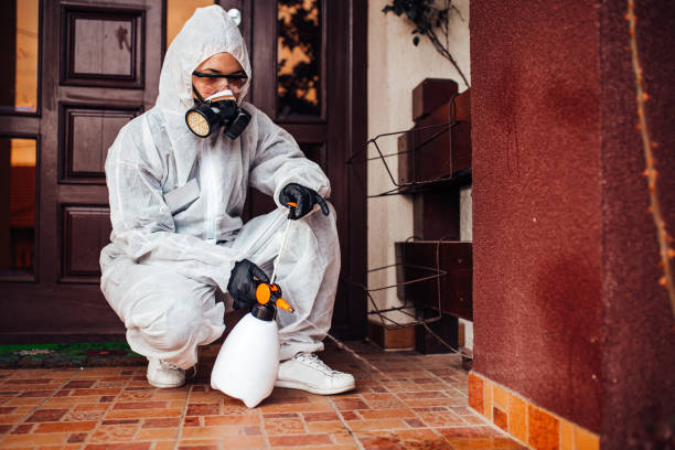Reliable Wasp Removal contractor in Hanna City, IL by Show Me Pest Control
